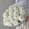 Сезонные цветы