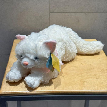 Белый кот